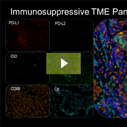 21-BPA-94044 webinar-mechanisms of myeloid immunosuppression-1