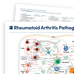 21-EMG-98250-PWH Rheumatoid Arthritis Pathogenesis_thumb 250x250