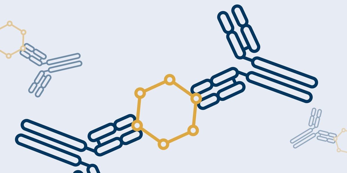Scientific illustration of matched antibody pairs binding distinct epitopes on the same target antigen for sandwich immunoassay detection.