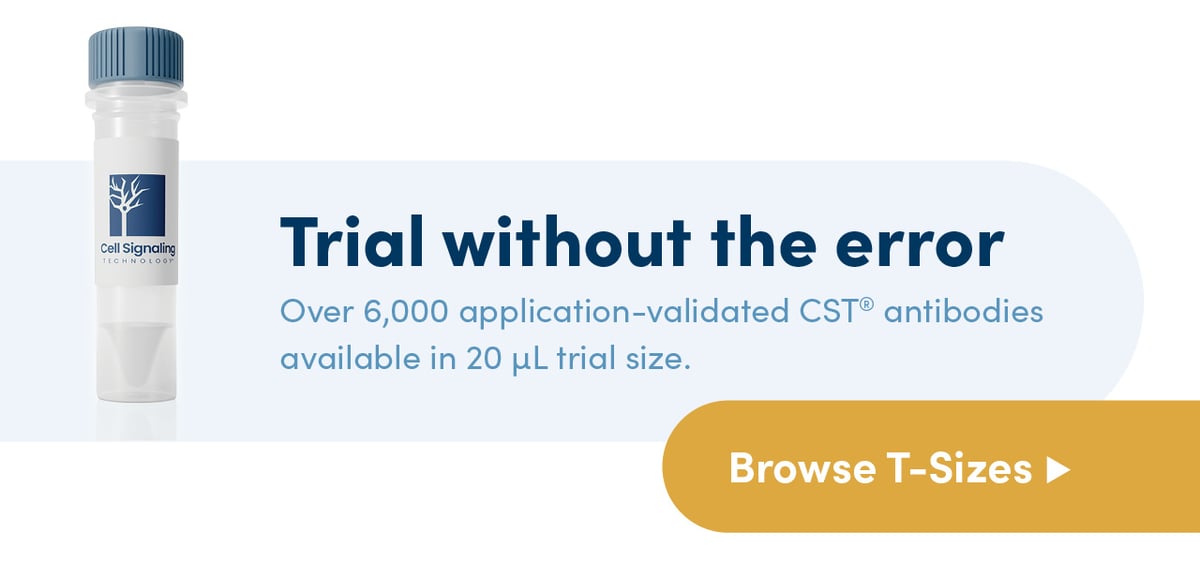 Photograph of a T-sized antibody vial. Text Reads: Trial without the error. Over 6,000 application-validated CST® antibodies available in 20 microliter trial size.
