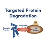 Illustration showing a target protein bound to a degrader molecule, which is bound to an E3 ligase. Text reads Targeted Protein Degradation.