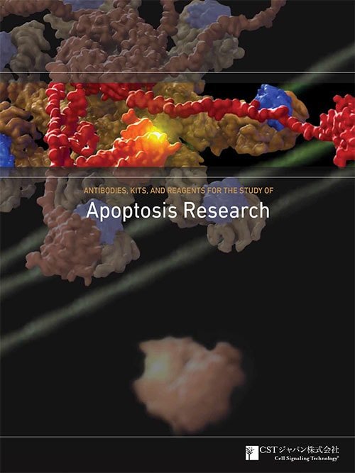 Apoptosis-Brochure-Image