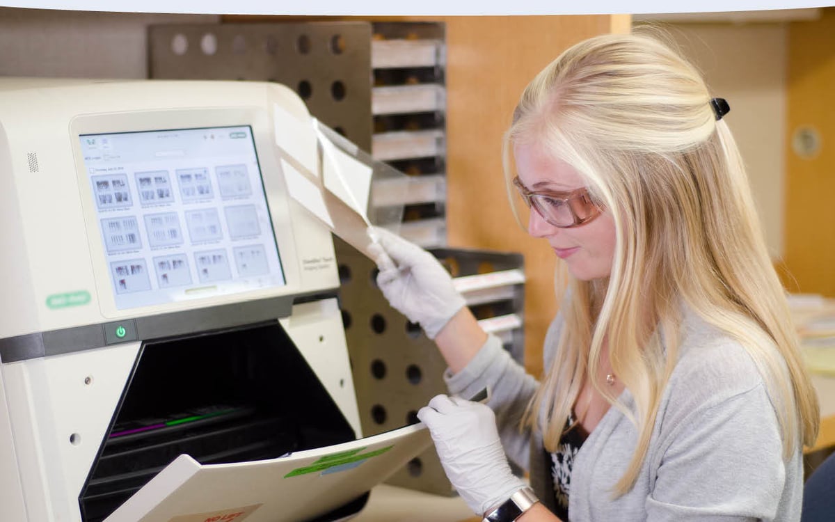 A scientist in the lab operates a machine displaying a gel electrophoresis image.