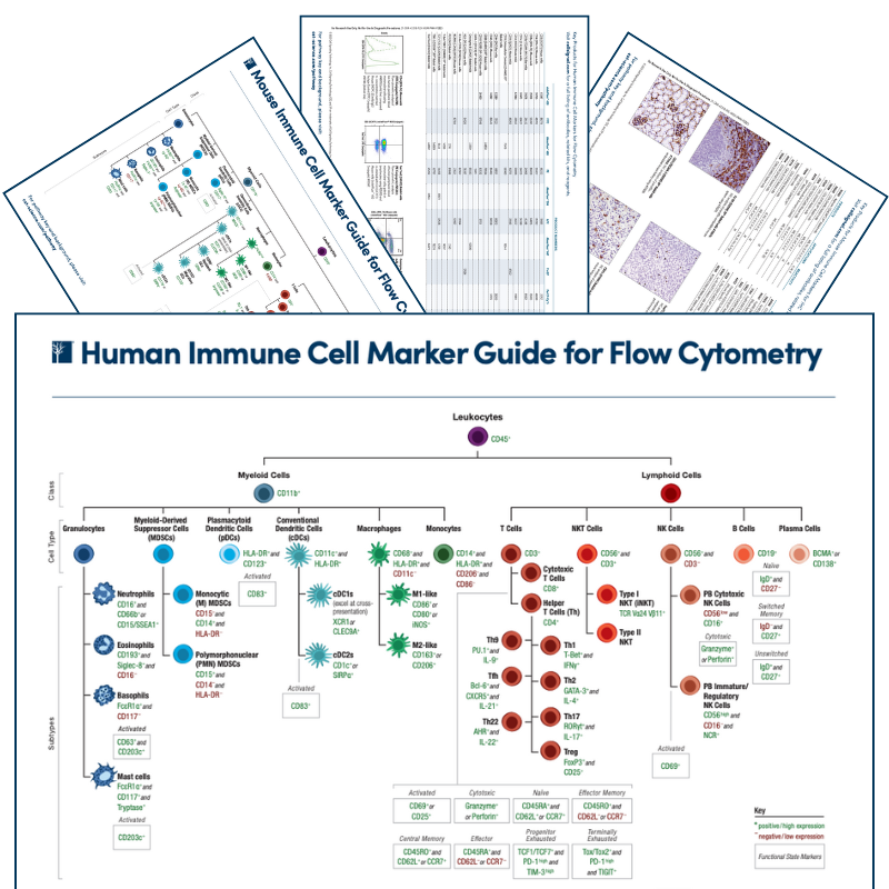 Immune Cell Marker Guides PWHO Download