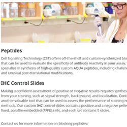custom peptides and controls-1