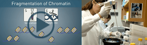18-CHP-43387 chip-kits-enzymson-video-email-image-header