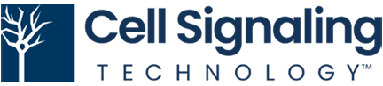Cell Signaling Technology, Inc.