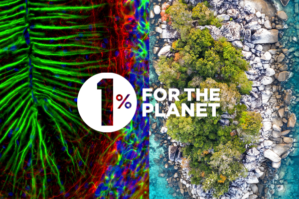 CST is a member of 1% for the Planet
