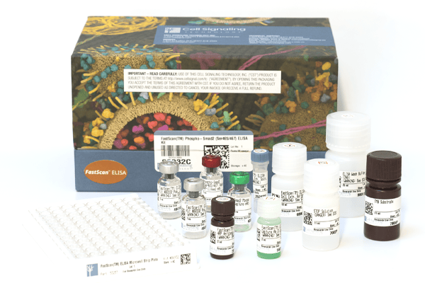 Use the highly sensitive PathScan® Phospho-Tau (Thr217) Sandwich ELISA Kit #59672.