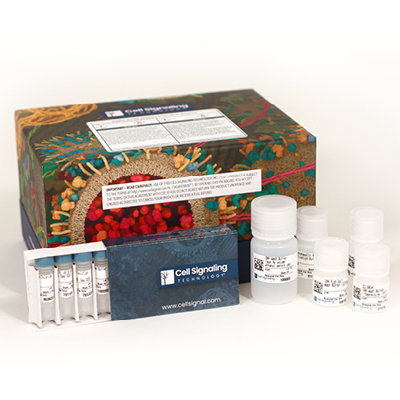 Contents of a CST® CUT&RUN kit.