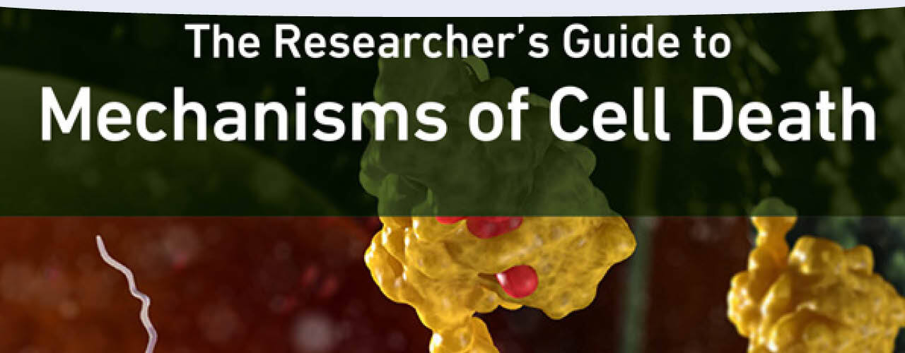 Text reads The Researcher's Guide to Mechanisms of Cell Death.