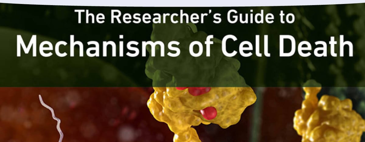 Text reads The Researcher's Guide to Mechanisms of Cell Death.