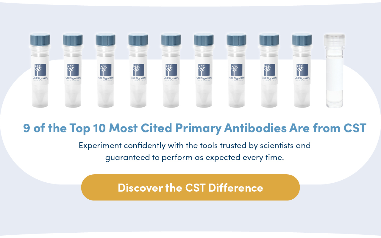 Ten vials, nine of which have CST labels. Text reads 9 of the Top 10 Most Cited Primary Antibodies Are from CST Experiment confidently with the tools trusted by scientists and guaranteed to perform as expected every time.