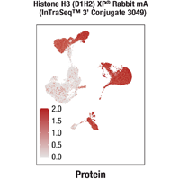 A FeaturePlot graph displays data on cultured primary T cells (Sample 3) and Human peripheral blood mononuclear cells (Sample 4), which were pooled and processed in accordance with the InTraSeq™ 3’ protocol and analyzed using the Seurat computational package. Clean histone H3 expression was detected by Histone H3 (D1H2) Rabbit mAb (InTraSeq™️ '3 3049) #77931.