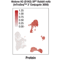 A FeaturePlot graph displays data on cultured primary T cells (Sample 3) and Human peripheral blood mononuclear cells (Sample 4), which were pooled and processed in accordance with the InTraSeq™ 3’ protocol and analyzed using the Seurat computational package. Clean histone H3 expression was detected by Histone H3 (D1H2) Rabbit mAb (InTraSeq™️ 3' 3050) #98269.