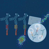 Illustration of CAR linker antibodies bound to CAR linkers, with symbolic  scientific elements in the background.