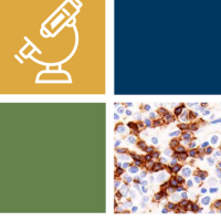 Four square tiles featuring a microscope icon and an IHC analysis.