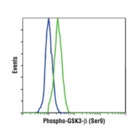 Flow cytometric analysis using Phospho-GSK-3β (Ser9) antibody.