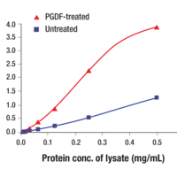 Graph showing absorbance vs. protein concentration of Phospho-Bad in untreated or PDGF-treated lysate using Phospho-Bad (Ser136) Matched Antibody Pair #23976.