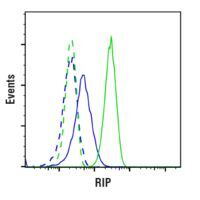 Flow cytometric analysis of control MEF cells (green) or RIP knockout MEF cells (blue) using RIP antibody.