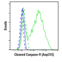 Flow cytometry analysis of Jurkat cells using Cleaved Caspase-9 (ASP315) antibody.