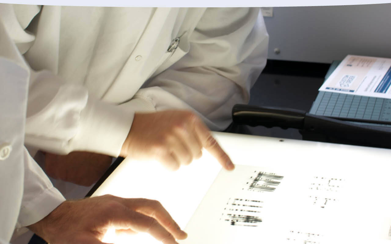 Scientists analyzing western blot results.