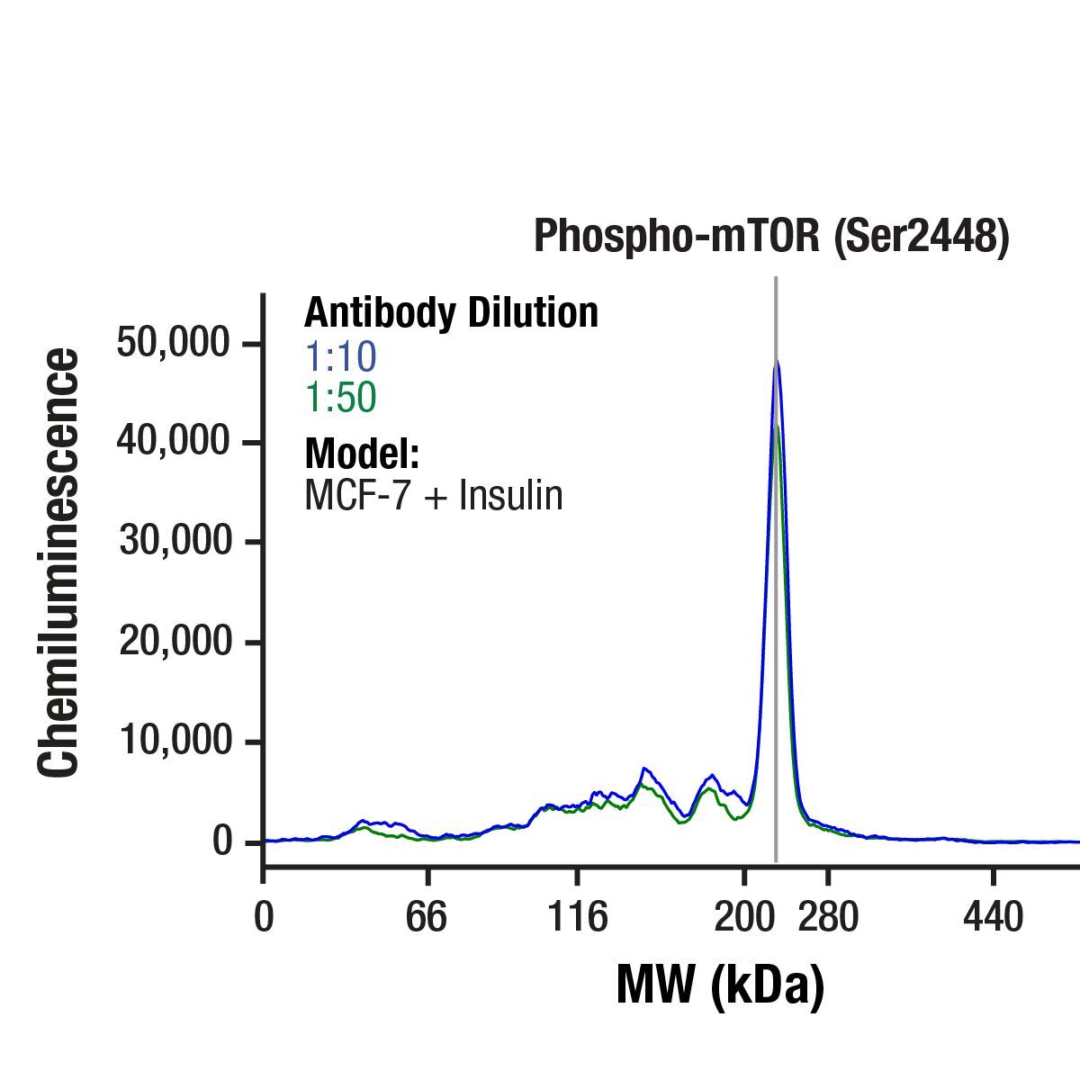Simple Western analysis, including virtual lane and electropherogram views, of sample analyzed using using Phospho-mTOR antibody.