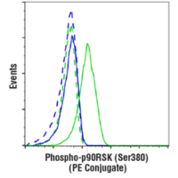 Flow cytometric analysis of Jurkat cells, treated with U0126 (10 uM, 3hr) and treated with TPA #4174 (200 nM, 30 min) using Phospho-p90RSK (Ser380) (D5D8) Rabbit mAb (PE Conjugate) and concentration-matched Rabbit (DA1E) mAb IgG XP® Isotype Control (PE Conjugate) #5742.