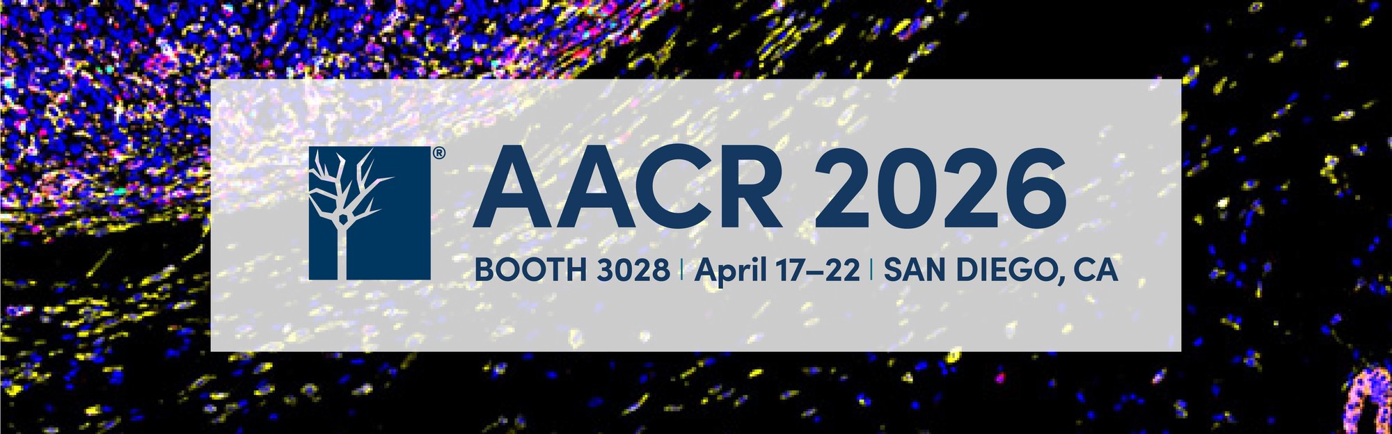 Multiplex IHC analysis of a tumor microenvironment in mouse tissue using a SignalStar antibody panel that includes the FoxP3 target.