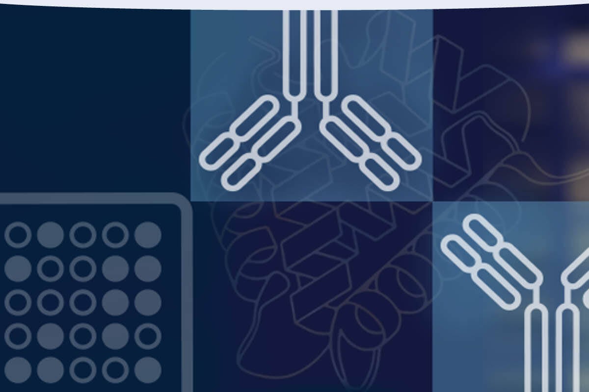 Diagrams of antibodies and proteins.