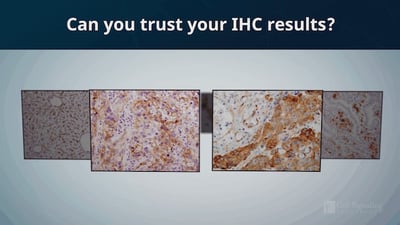 Immunohistochemistry Validation Video