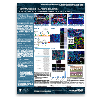 CSTpathways-IHC-assays CSTpathways-IHC-assays