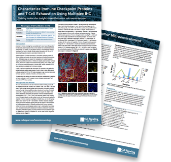 CSTpathways-immune-checkpoint-proteins CSTpathways-immune-checkpoint-proteins