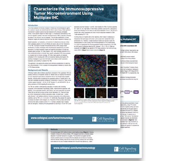 CSTpathways-myeloid-immunosuppression CSTpathways-myeloid-immunosuppression