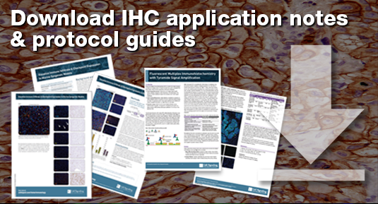 Immunohistochemistry (IHC) Resources | Immunofluorescence Protocol