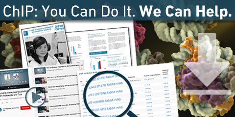 Resources for Chromatin Immunoprecipitation (ChIP-qPCR & ChIP-seq) Resources for Chromatin Immunoprecipitation (ChIP-qPCR & ChIP-seq)