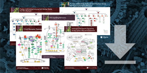 20-imo-49011-immuno-oncology-480x240