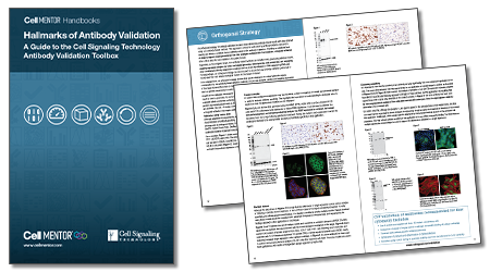 Hallmarks of Validation eBook Hallmarks of Validation eBook