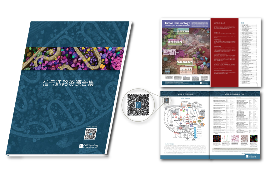 IMG_Request_for_Pathway_Brochure_20191231