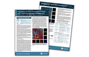 Characterize Immune Checkpoint Proteins and T Cell Exhaustion Using Multiplex IHC