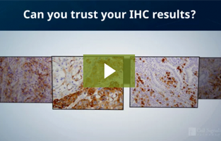 Can you trust your immunohistochemistry (IHC) results?
