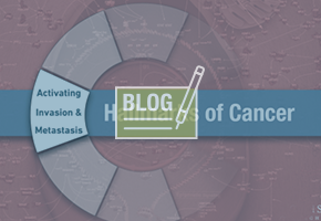 blog-hallmarks-of-cancer-activation-invasion-and-metastasis-blog