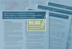 dual-staining-blog