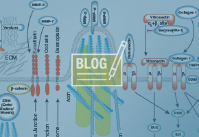 who-am-i-blog