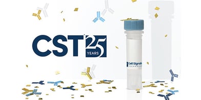 CST 25周年キャンペーン