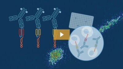 Video: Novel Antibodies for the Characterization of CAR-T Cells (31:47)