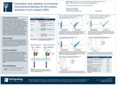 Poster: Generation and validation of anti-linker monoclonal antibodies for the surface detection of scFv-based CARs
