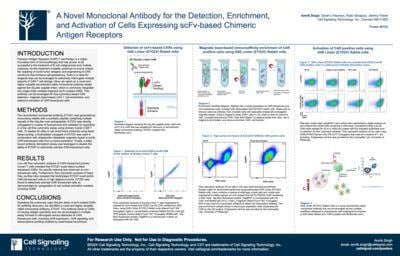 Poster: A novel monoclonal antibody for the detection, enrichment and activation of cells expressing scFv-based chimeric antigen receptors