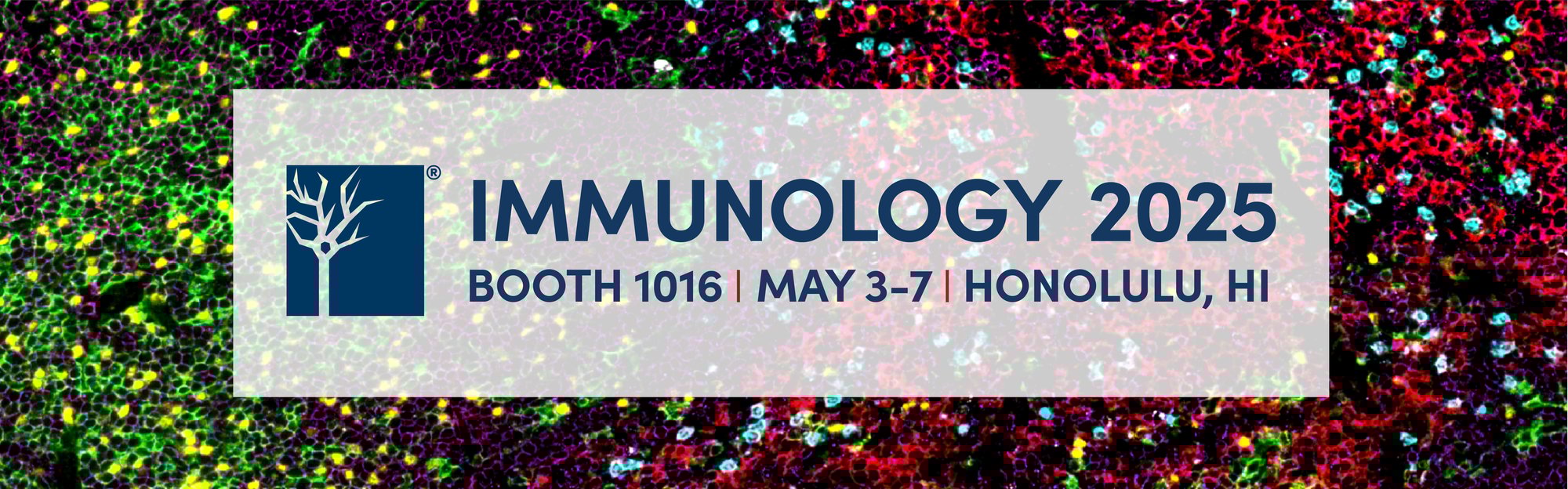 Text Reads: Immunology 2025 | Booth 1016 | May 3-7 | Honolulu, HI