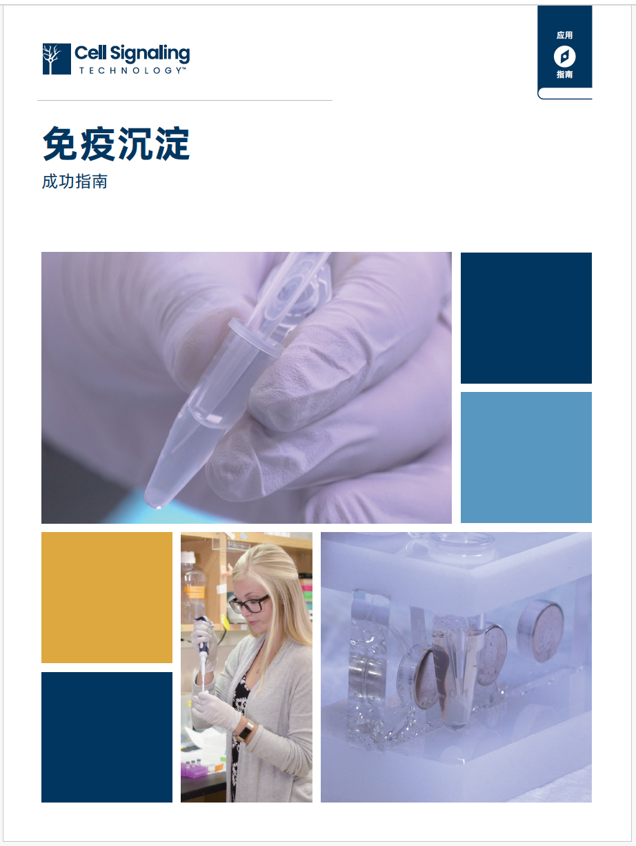 免疫沉淀成功指南